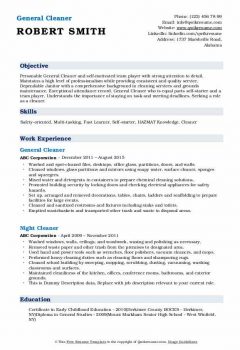 General Cleaner Resume .Docx (Word)