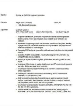 Professional Engineering Resume Example > Professional Engineering Resume Example .Docx (Word)