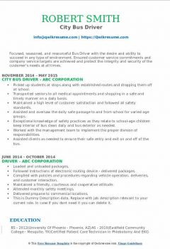 City Bus Driver Resume .Docx (Word)