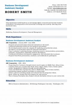 Business Development Assistant/Analyst Resume .Docx (Word)
