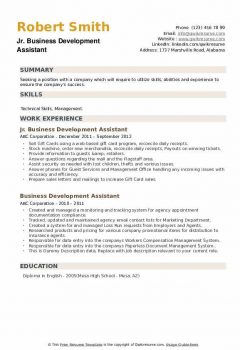 Jr. Business Development Assistant Resume .Docx (Word)