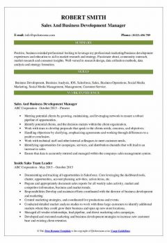 Sales And Business Development Manager Resume .Docx (Word)