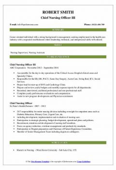 Chief Nursing Officer III Resume .Docx (Word)