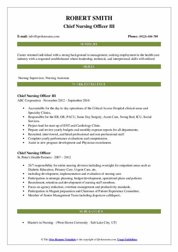 Chief Nursing Officer III Resume .Docx (Word)