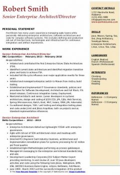 Senior Enterprise Architect/Director Resume .Docx (Word)