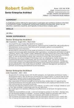 Senior Enterprise Architect Resume1 .Docx (Word)