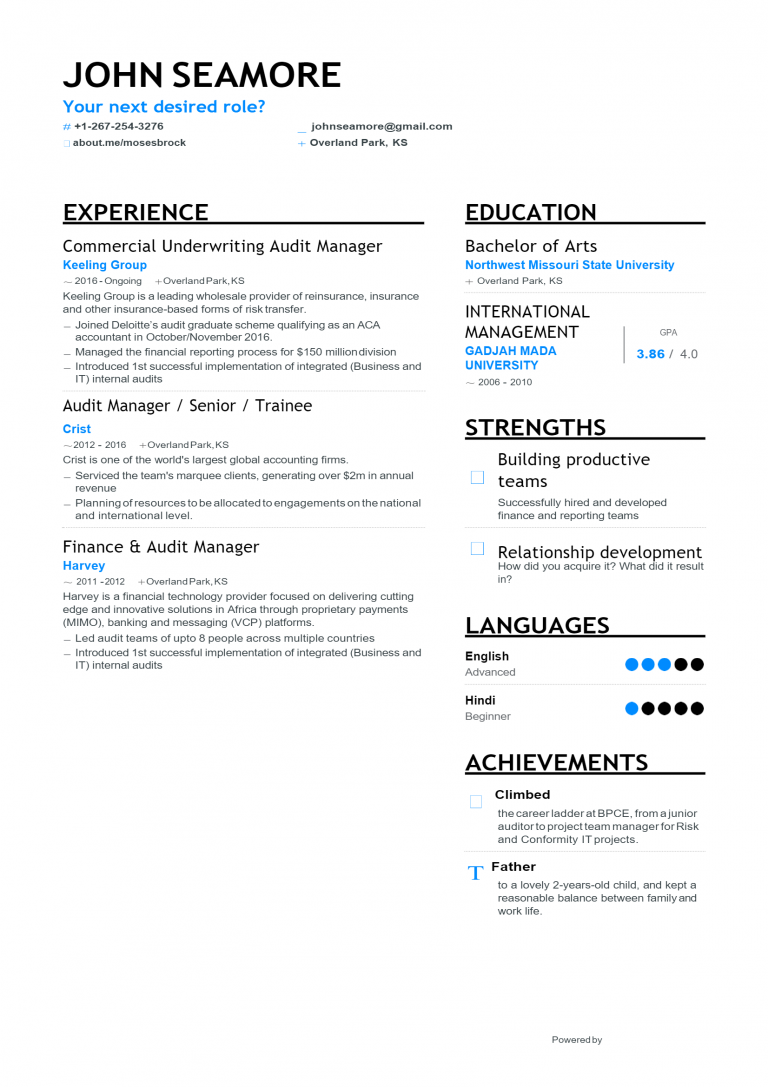 Download Free Audit Manager Resume .Docx (Word) Template on ...