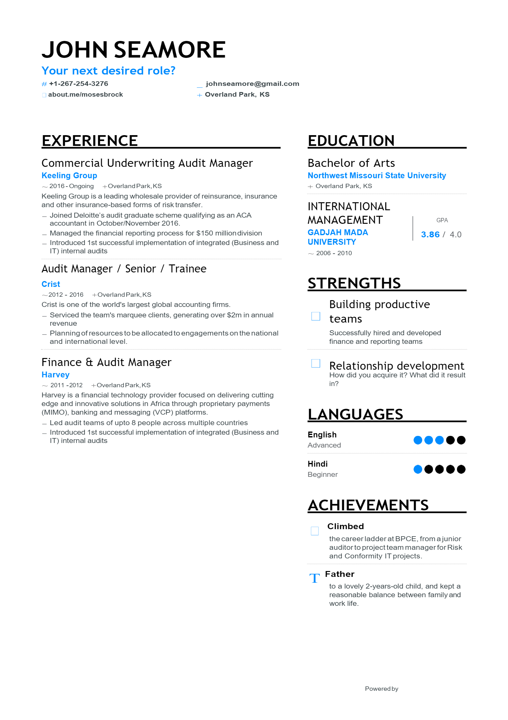 Audit Manager Resume .Docx (Word)
