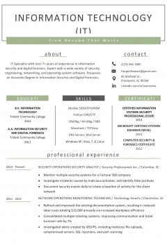 Information Technology Resume .Docx (Word)