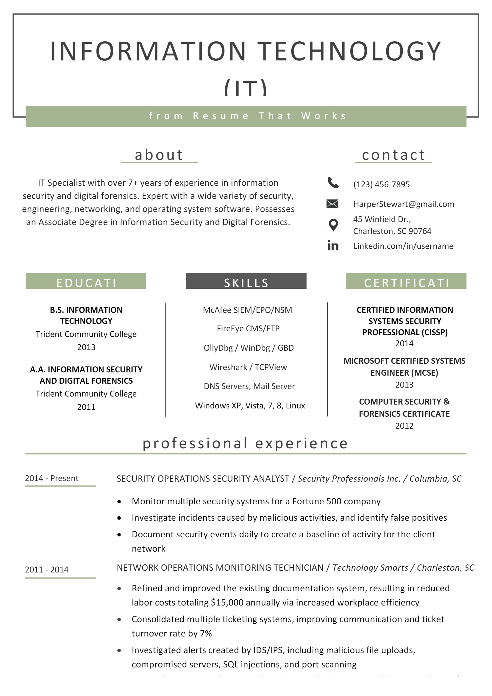 Information Technology Resume .Docx (Word)