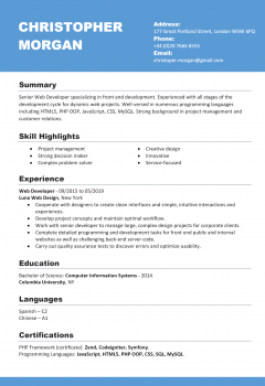 Senior Web Developer Resume .Docx (Word)