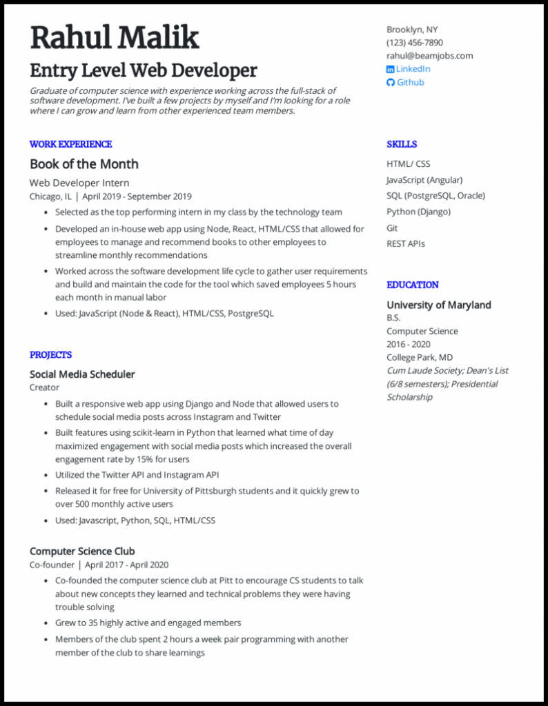 Entry Level Web Developer Resume Sample .Docx (Word)