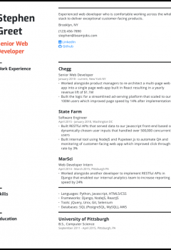 Senior Web Developer Resume Sample .Docx (Word)