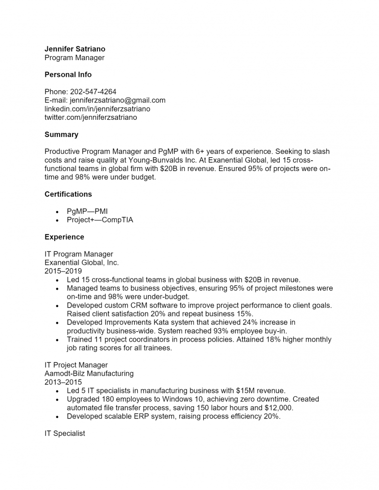 program manager resume word template