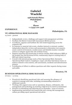 Risk Manager .Docx(Word)
