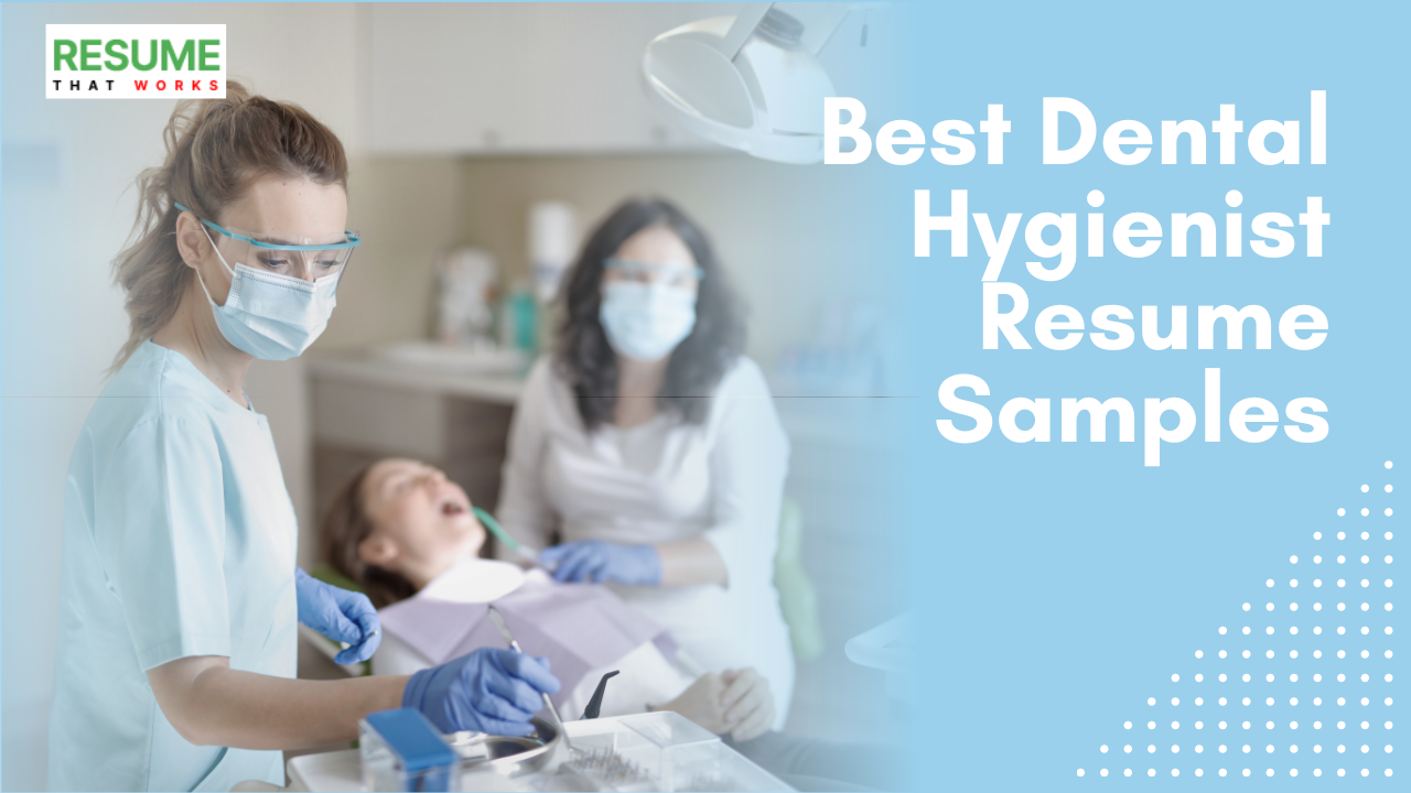 Best Dentist Resume Templates In 2022