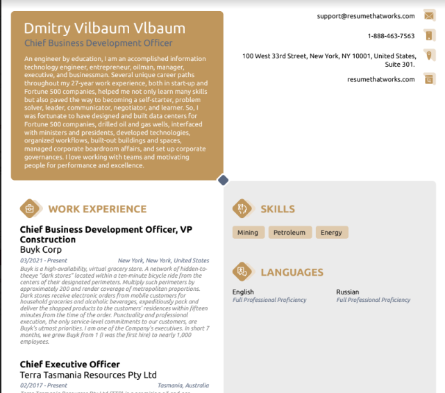 Download Free Chief Business Development Officer Resume Template On 