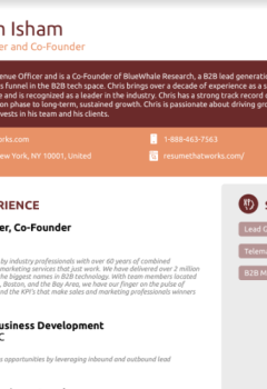 Chief Revenue Officer and Co-Founder Resume