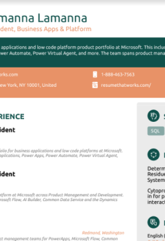Corporate Vice President, Business Apps &#038; Platform Resume