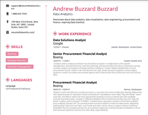 Download Free Data Analytics Resume Template on ResumeThatWorks.com