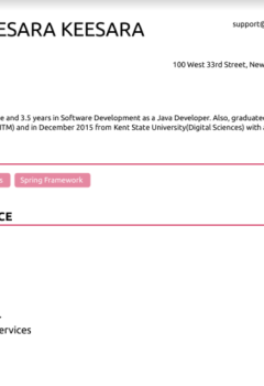 Java Developer (3) Resume