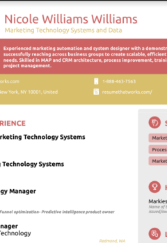 Marketing Technology System and Data Resume