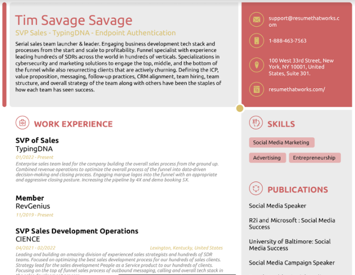 Download Free Senior Vice President Sales Resume Template On 