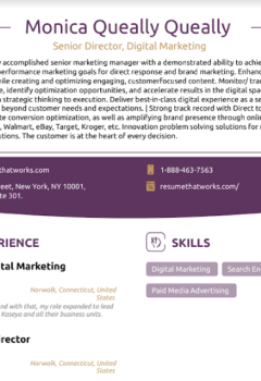 Senior Director, Digital Marketing Resume