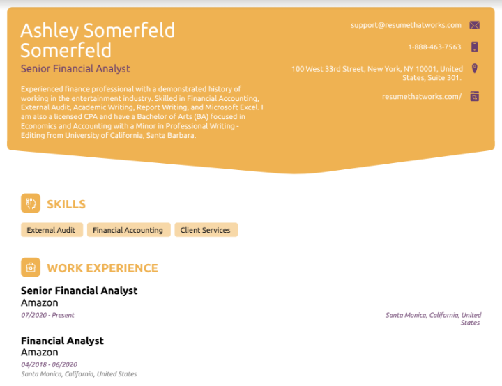 Senior Financial Analyst (4) Resume